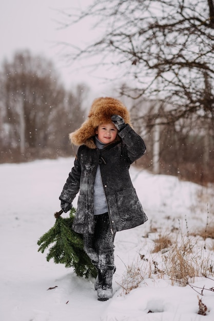 雪の中の子供が森からクリスマスツリーを家に運ぶ 3123