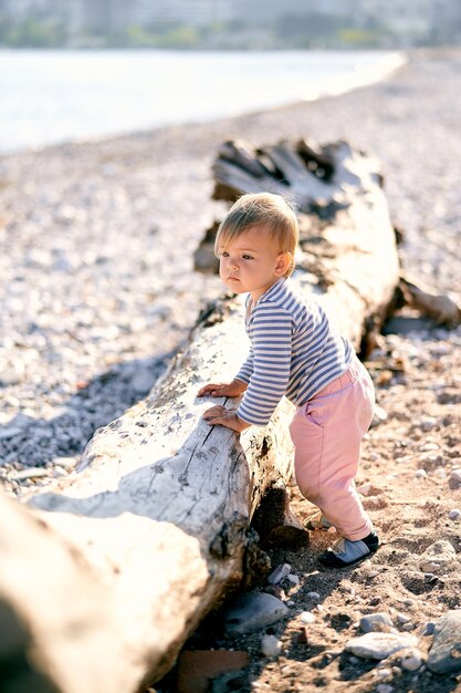 Child stands near an old driftwood on the seashore