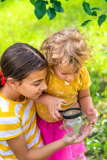 子供が拡大鏡で瓶の中の甲虫を観察する 選択的焦点 自然