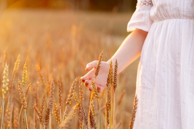 写真 日没時に畑でライ麦や小麦の芽に触れる子供