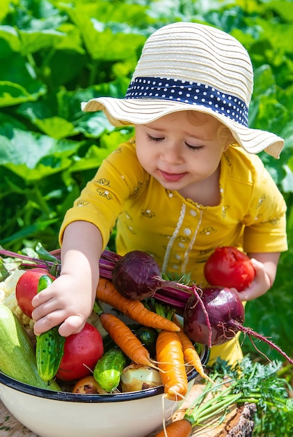 野菜畑の選択的な焦点の子供