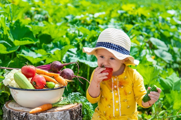 野菜畑の選択的な焦点の子供