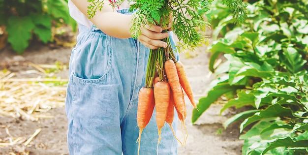 子供と農場の野菜。写真。