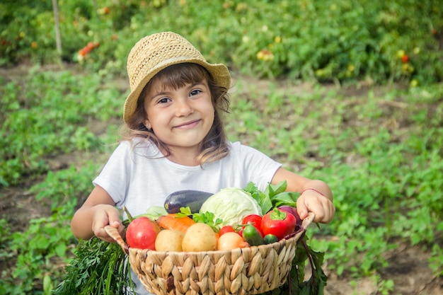 Bambino e verdure della fattoria messa a fuoco selettiva