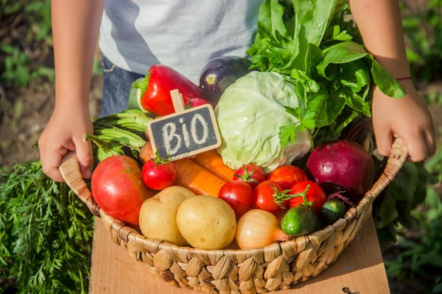 Child and vegetables on the farm selective focus