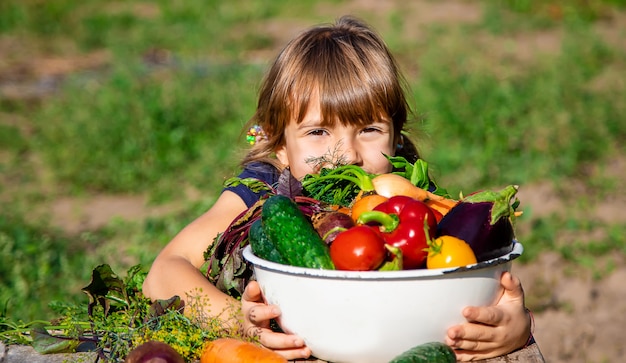 Photo child and vegetables on the farm. selective focus.