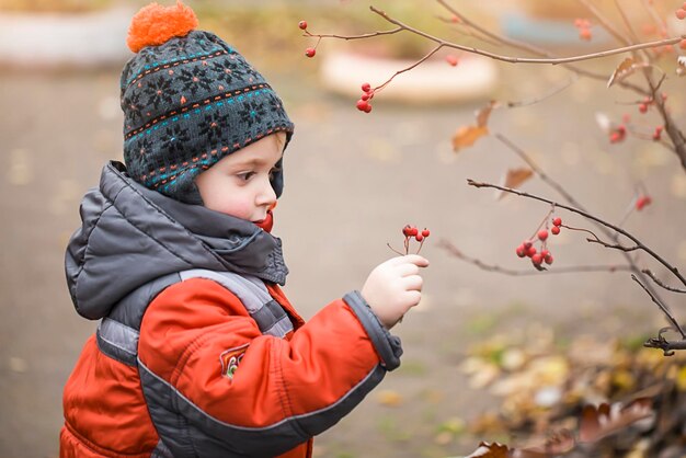 The child walks and collects autumn natural materials for crafts