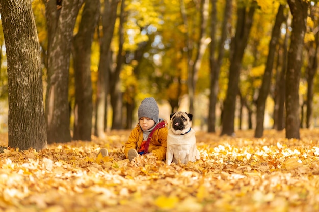 가을 공원에서 아이가 퍼그와 함께 산책합니다. 어린 시절부터 친구.