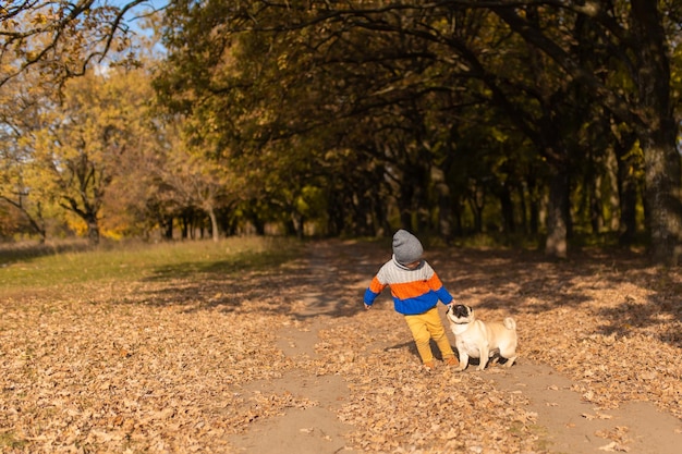 A child walks with a pug in the autumn park Friends since childhood