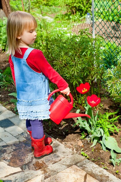 Child watering tulip in the garden