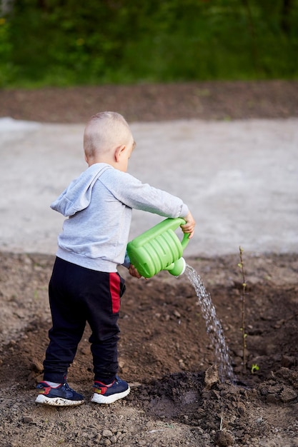 Child watering young tree in the garden Spring work High quality photo