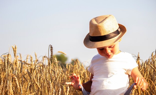 Child in a wheat field hugging a grain harvest. nature, selective focus