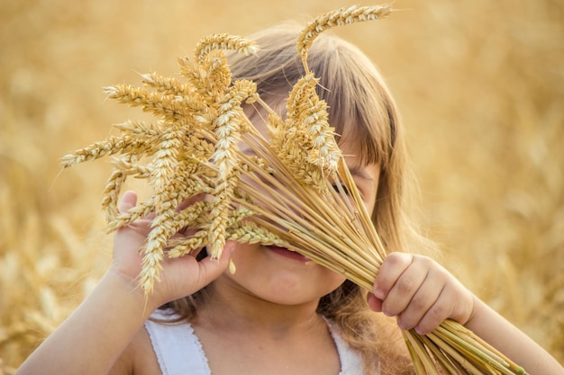 Селективный фокус ребенка на пшеничном поле