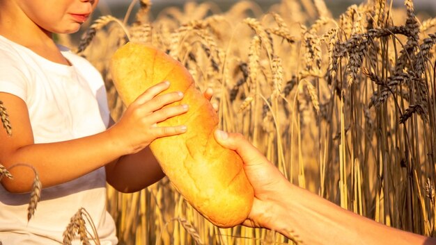 Child in a wheat field with bread in hands