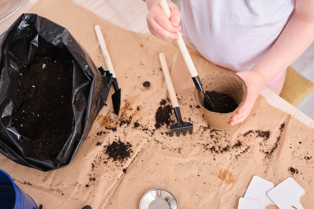 A child in a white t-shirt pours soil into a peat seed pot, a child plants a senen, garden tools on the table