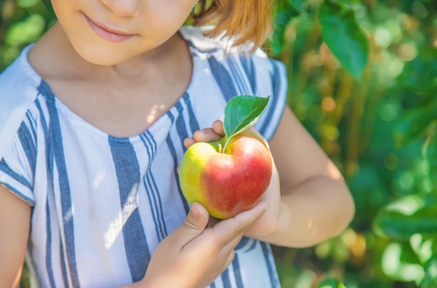 Ребенок с яблоком в саду