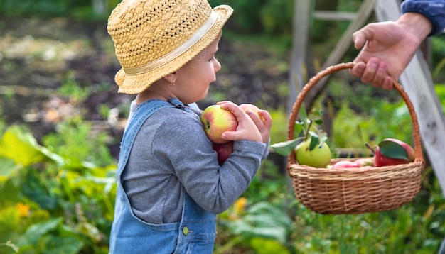 Bambino con mele in giardino messa a fuoco selettiva