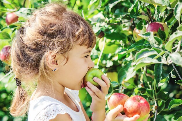 サマーガーデンでリンゴを持つ子供。セレクティブフォーカス。人。