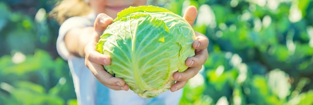 Child with cabbage in the hands