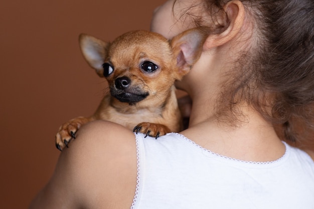 child with chihuahua