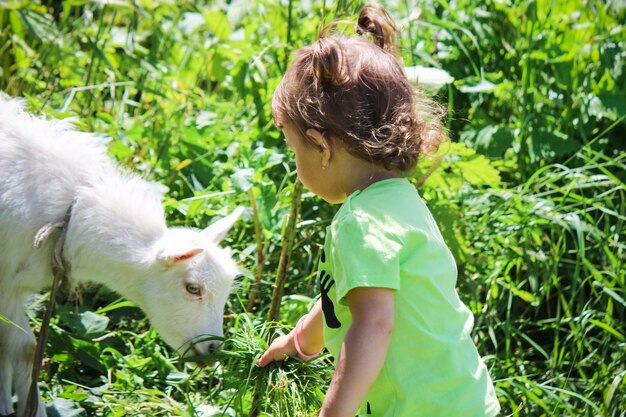 Child with a goat. Selective focus. nature