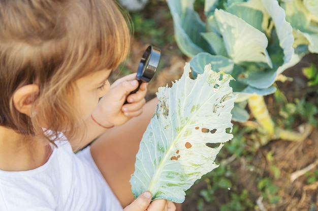 Child with a magnifying glass in her hands.