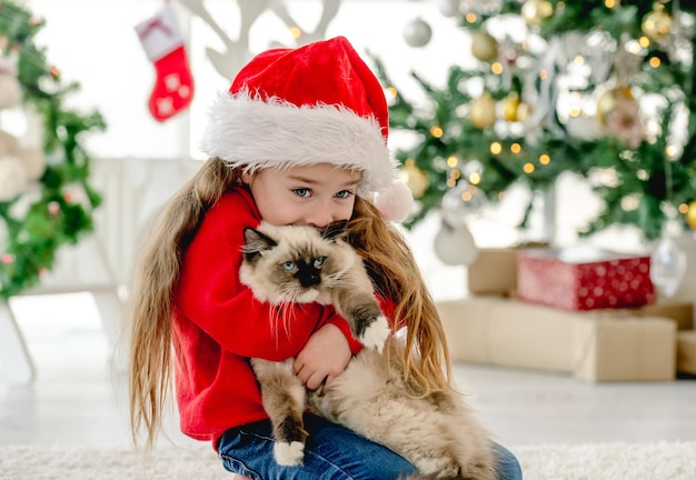 Child with ragdoll cat in Christmas time