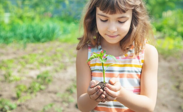 A child with seedlings in his hands in the garden. 