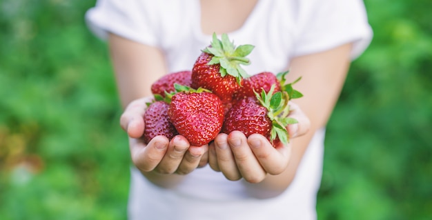 Un bambino con fragole nelle mani