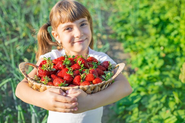 A child with strawberries in the hands