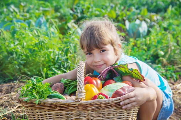 Child with vegetables in the garden. 