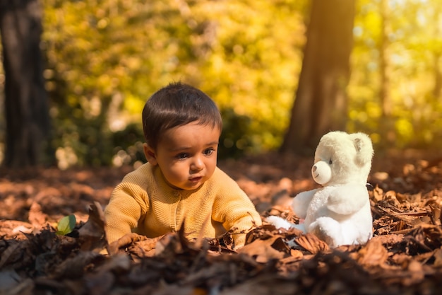 晴れた秋の日に公園で白いテディベアを持つ子供。自然光、木の葉の上に横たわる中年の赤ちゃん