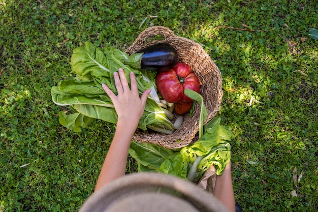 Child with wicker hat in summer time with groceries in wicker basket