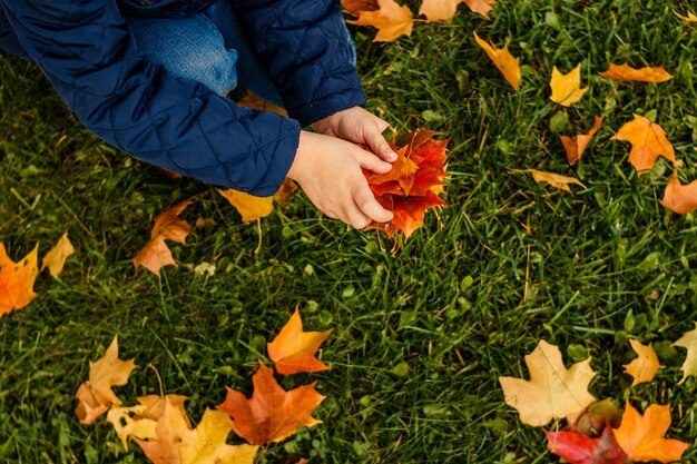 Child with yellow leaves in her hands in park.