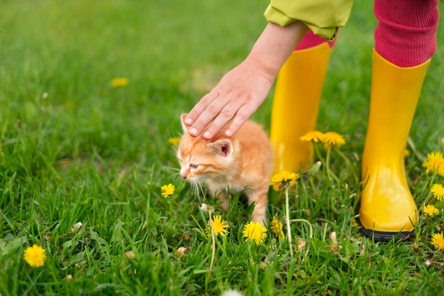 A child in yellow goomboots on the lawn stroking a small ginger kitten