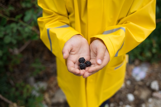 Child in yellow jacket with blackberries in his hands