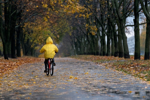 黄色いレインコートを着た子供が雨の秋の公園で自転車に乗る。孤独な少年が秋の路地を自転車で走ります。背面図。