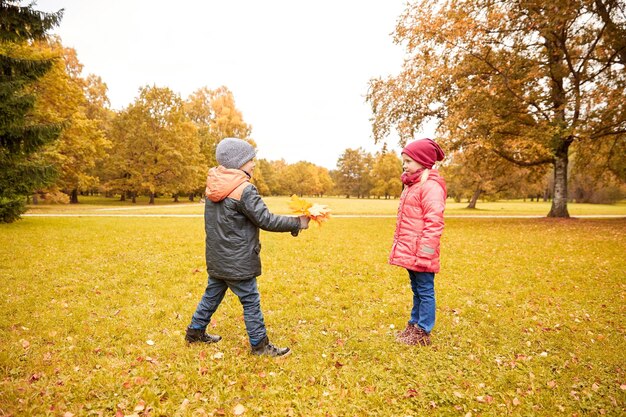 子供の頃、レジャー、友情、人々 のコンセプト - 秋の公園で女の子にカエデの葉を与える幸せな少年