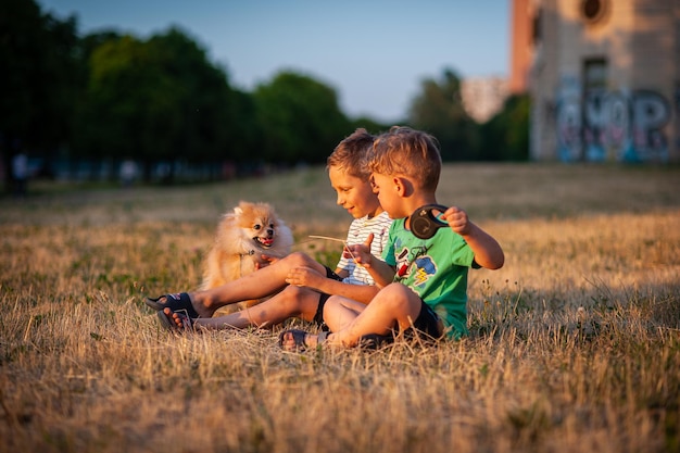 子供たちはテキストの牧草地スピッツの場所で犬と遊んでいます。