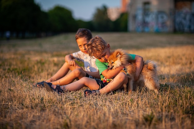 The children are playing with the dog in the meadow spitz place for text