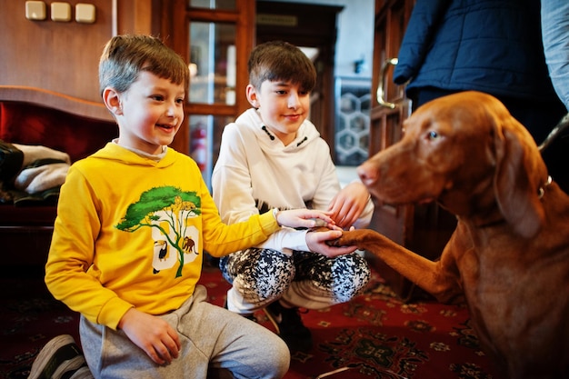 Children on birthday party playing with dog