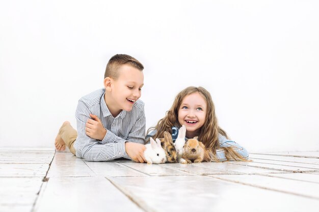 Children boy and girl happy with a beautiful fluffy little Bunny rabbits on the white background