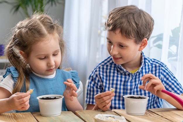 Children, a boy and a girl, hold and examine a sprouted pumpkin seed