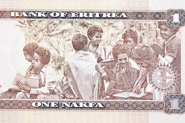 Children in bush school from Eritrean money nakfa