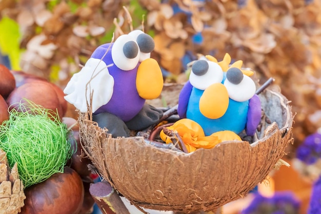 Foto artigianato per bambini - due uccelli di plastilina in un nido di guscio di cocco