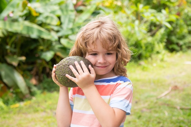 Children cute or kid boy smile and holding avocado fruit