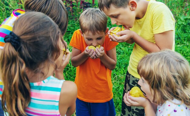 子供たちは路上でチップスを食べます。セレクティブフォーカス。食べ物。