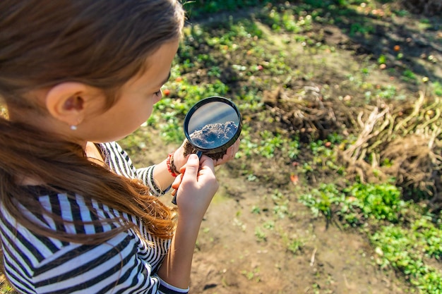 子供たちは虫眼鏡で土を調べます セレクティブ フォーカス