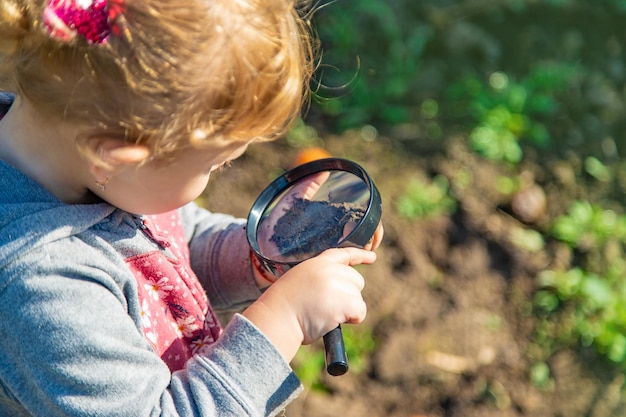 I bambini esaminano il terreno con una lente d'ingrandimento messa a fuoco selettiva