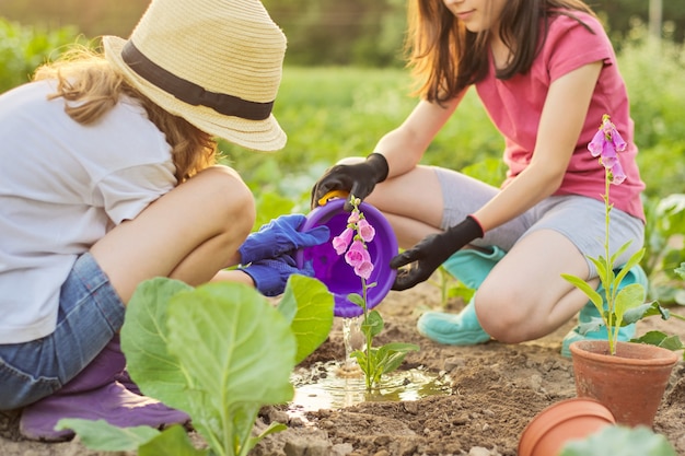 地面に植木鉢植物を植える子供の女の子